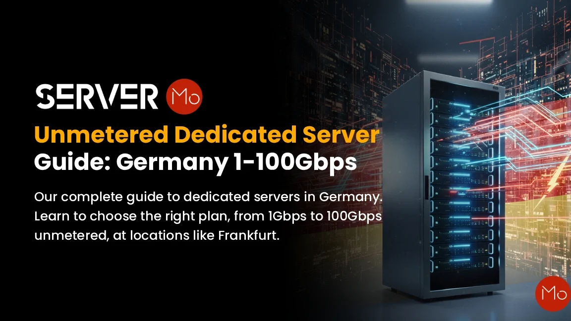 Unmetered Dedicated Server Guide: Germany 1-100Gbps