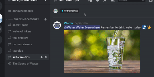 Setting Up Permissions FAQ – Discord