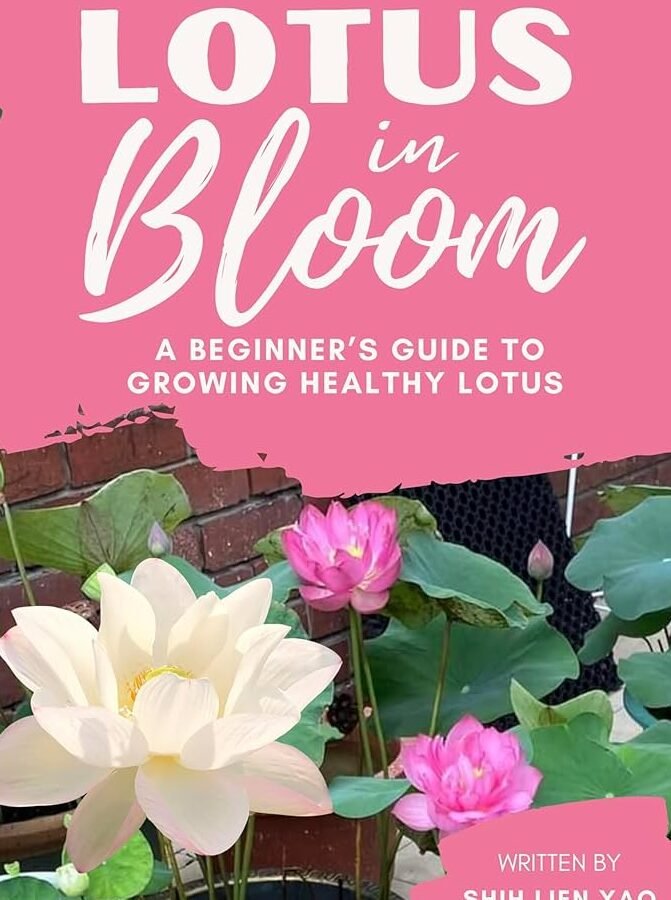 Lotus In Bloom: A Beginner's Guide To Growing Healthy Lotus ...
