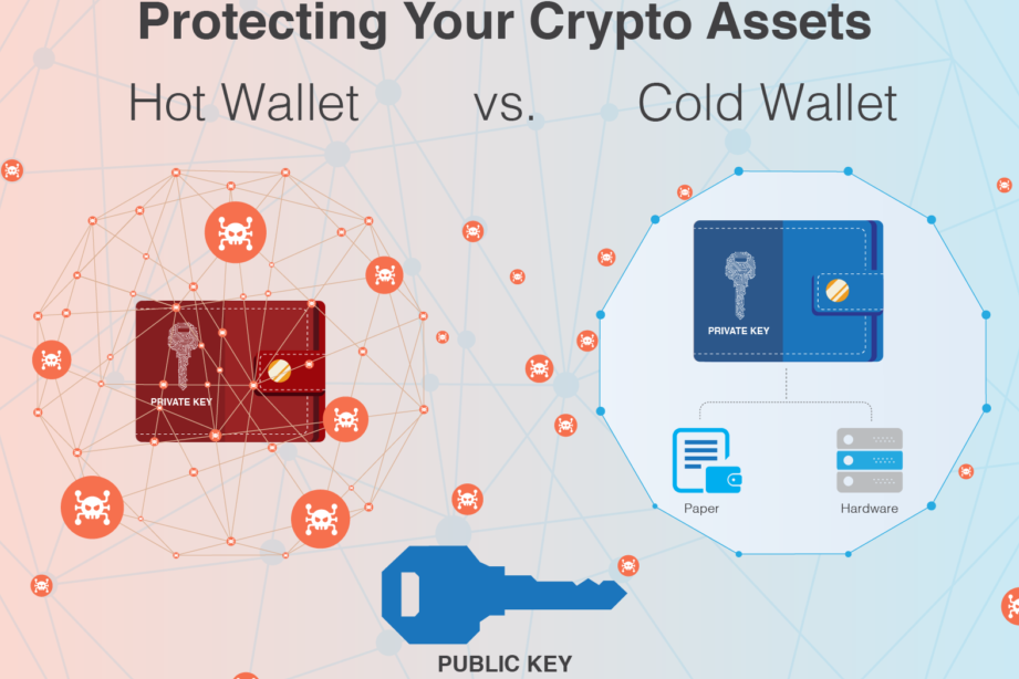 Hot Wallet vs. Cold Wallet : Best Way to Store Cryptocurrency ...
