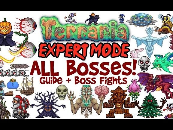 Terraria All Bosses In Order Expert Mode Guide & Fights! (Easiest ...